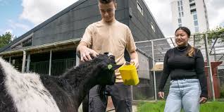 dierenverzorger opleiding