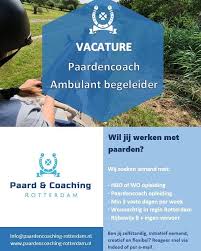 opleiding paardencoach