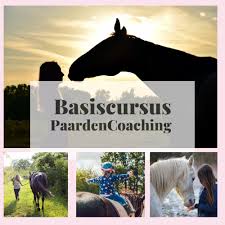 paardencoaching opleiding