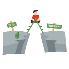 cursus management
